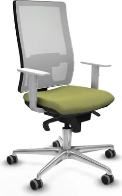 Produktbild von Bürostuhl Horna Piqueras y Crespo 4B086G0 grün