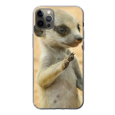 Produktbild von MuchoWow® Handyhülle Schutzhülle Hülle für iPhone 12 Pro Max Erdmännchen - Braun - Tier Silikon Softcase Handy Hülle - Hartschale