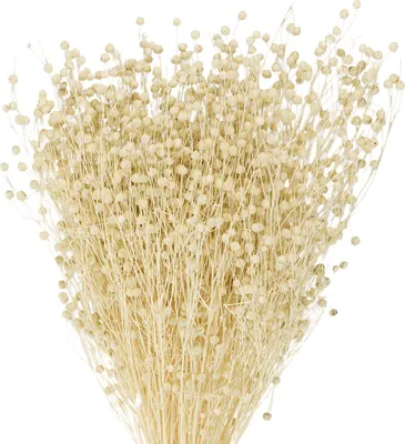 Produktbild von Dekoratives Flachs Trockengras für stilvolle Arrangements