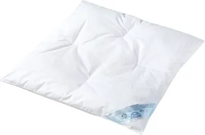 Produktbild von Julius Zöllner Steppdecke mit Federn & Daunen 80 x 80 c