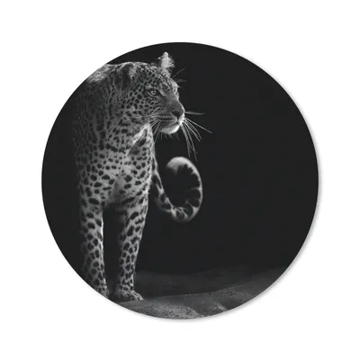 Produktbild von MuchoWow® Mauspad Mousepad Wildtiere - Leopard - Natur - Schwarz - Weiß 30x30 cm - Mousepads - Maus Mat - Pad - Mausunterlage - Tischunterlage - Schreibtischmatten
