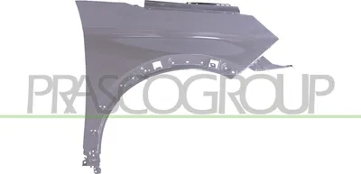 Produktbild von PRASCO PG5243003 Kotflügel Vorne Rechts passend für PEUGEOT 3008 SUV (M)