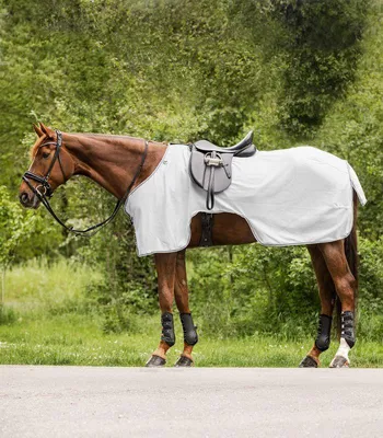 Produktbild von Waldhausen Protect Fliegen-Ausreitdecke silbergrau/grau, Größe:125 cm