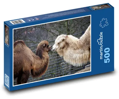 Obrázok produktu pre Puzzle 500 Príbeh Priateľstva Velblúdov - martinpuzzle