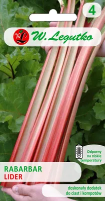 A hand holding a package of rhubarb seeds with a close-up of rhubarb stalks.