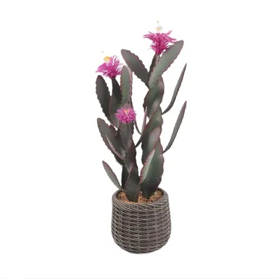 Imagen del producto de Planta de cactus artificial de 92 cm – Gran planta artificial de pie con flores rosas – Planta decorativa realista para interiores