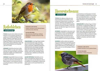 Produktbild von Vögel füttern im Garten