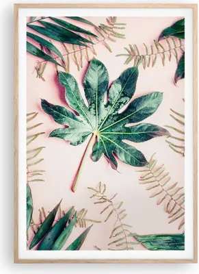 Produktbild von Gerahmtes Poster - Rahmen in heller Eiche - Blatt Tropisch Palme - 70x100 cm - Wand Bild - Wanddeko - Wandbilder - Wandposter - Bilderrahmen - Bilder - Kunstdruck - Wandbild - P2NPA70x100-4314