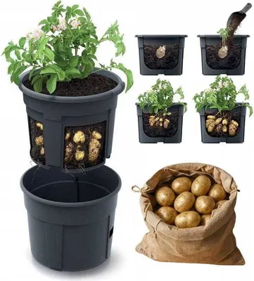 Obrázok produktu pre Květináč Prosperplast POTATO GROWER na pěstování brambor 39,2 cm antracit