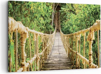 Produktbild von Bild auf Leinwand - Leinwandbild - Einteilig - Brücke Seil Dschungel - 120x80cm - Wand Bild - Wanddeko - Wandbilder - Leinwanddruck - Bilder - Wanddekoration - Leinwand bilder - AA120x80-4319