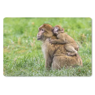 Produktbild von MuchoWow® Schreibtischunterlage Affe - Baby - Gras 60x40 cm - XXL Mauspad - Großes Mauspad