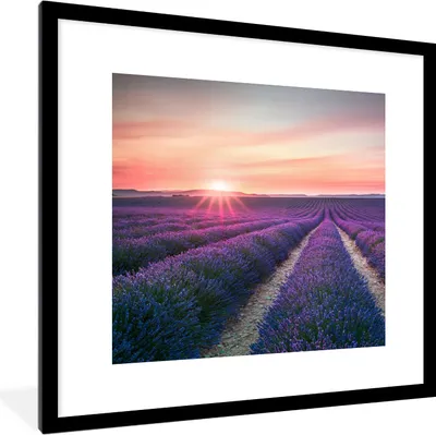 Produktbild von MuchoWow® Gerahmtes Poster Lavendel - Lila - Blumen - Himmel 40x40 cm - Poster mit Schwarzem Bilderrahmen Wandposter Rahmen Foto Bilder - Poster - Plakat im Rahmen