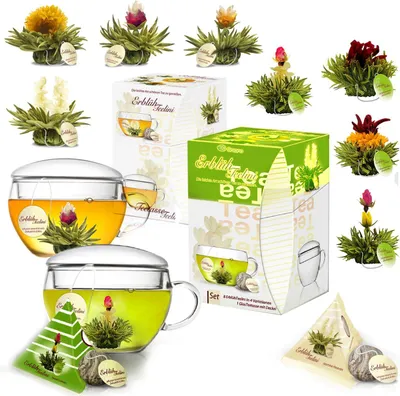 Produktbild von Creano 2er-Set ErblühTeelini Geschenkset Weißtee mit 8er Box ErblühTeelini Grüntee