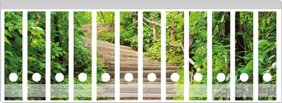 Produktbild von Wallario Ordnerrücken Sticker, selbstklebend für breite Ordner, 12 Stück, Motiv Steintreppe im Wald