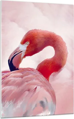 Produktbild von Bilder auf glas - Einteilig - Flamingo Vogel Porträt - 70x100cm - Glasbilder - Wandbilder - Bilder - zum Aufhängen bereit - Wanddekoration aus Glas - Glas Bilder - Wandbild auf Glas - GPA70x100-4984