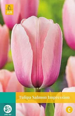 Productafbeelding van Tulipa Salmon Impression JUB, 10 bloembollen