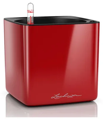 Obrázek produktu pro LECHUZA CUBE, Květináč, Volně stojící, Polypropylen (PP), Červená, Čtverec, Vnitřní
