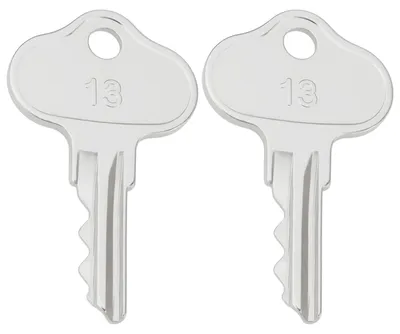 2er-Pack Zündschlüssel für GEHL Lader, Ersatz OEM 089070