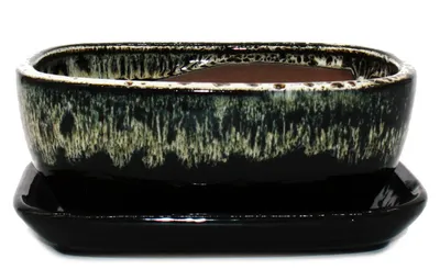 Produktbild von Dehner Bonsaischale, mit Untersetzer, handgefertigter Übertopf, rechteckig, ca. 24 x 9 x 17.5 cm, Keramik, schwarz / weiß