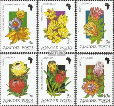 Produktbild von Briefmarken Ungarn 1990 Mi 4075A-4080A (kompl.Ausg.) postfrisch Silberbaumgewächse
