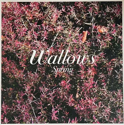 Produktbild von Wallows - Spring (Green & Pink Coloured) (12" Vinyl)