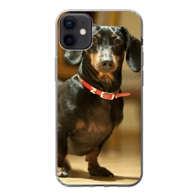 Produktbild von MuchoWow® Handyhülle Schutzhülle Hülle für iPhone 12 mini Porträt eines schwarzen Dackels Silikon Softcase Handy Hülle - Bild