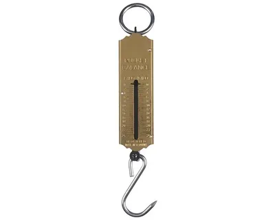 Produktbild von Connex Taschenfederwaage 25 kg