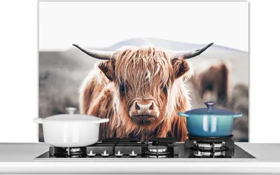 Produktbild von KitchenYeah®  Spritzschutz Küche - Küchenrückwand - Wandschutz für Herd und Spüle - Schottisches Hochlandrind - Berg - Hoorn 100x65 - Alu-Dibond (Alternative zum Spritzschutz aus Glas) - Hitzebeständi