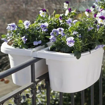 Image de BAMA KLUNIA 40 cm, crème Quantité : 1 pc