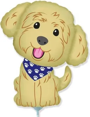 Obrázek produktu pro DOG fóliový balónek COBBERDOG narozeninová dekorace party ornament 35cm
