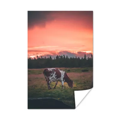 Productafbeelding van Poster - Een koe die graast bij zonsondergang - 40x60 cm