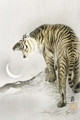 Zdjęcie produktu dla Plakat 40x60cm Roaring Tiger, Koson Japoński Vintage do Salonu