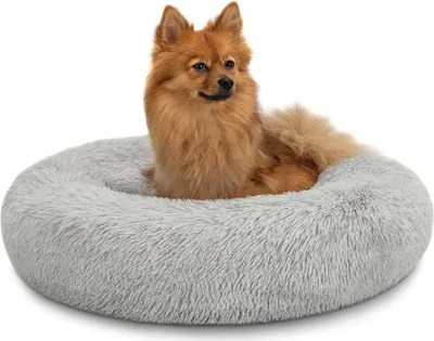 A small, fluffy dog is resting in a round, plush dog bed.