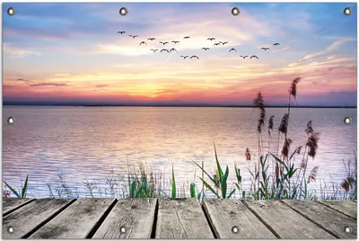 Produktbild von Wallario Outdoor-Poster für Garten oder Balkon, Motiv Seepanorama mit Schilf und fliegenden Vögeln, in ca. 80 x 120 cm
