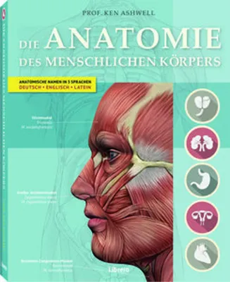 Immagine prodotto di Der Menschliche Körper