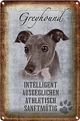 Produktbild von Blechschild Spruch 18x12cm Greyhound Hund