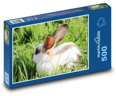 Obrázek produktu pro Puzzle 500 Zakrslý králík na louce - martinpuzzle