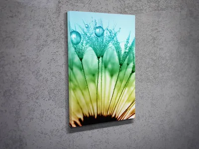 Zdjęcie produktu dla Wallity, DC031- MJS1231, Kolorowy, obraz na płótnie, 30 x 40 cm, 100% płótno