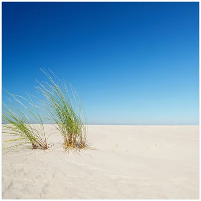 Produktbild von Wallario Premium Glasbild, freischwebende Optik, kräftige Farben, Größe 50 x 50 cm Motiv Sandstrand unter blauem Himmel