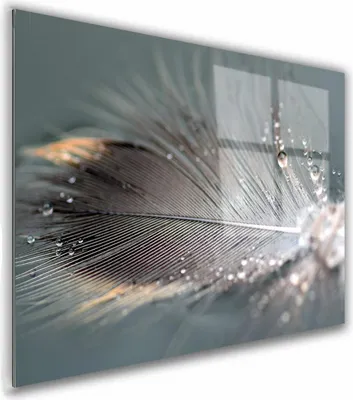 Zdjęcie produktu dla OBRAZ NA SZKLE PROSTOKĄTNY 100x70cm 130 Piórko