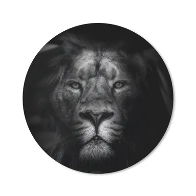 Produktbild von MuchoWow® Mauspad Mousepad Tiere - Löwe - Wilde Tiere - Schwarz - Weiß 20x20 cm - Mousepads - Maus Mat - Pad - Mausunterlage - Schreibtischmatte
