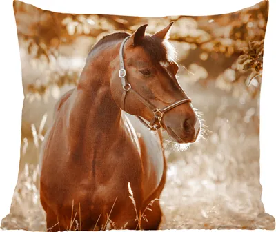 Produktbild von MuchoWow® Zierkissen Sofakissen Wohnzimmer Dekokissen 60x60 cm Pferd - Sonne - Porträt - Natur - Braun - Sitzfläche - Foto Polster