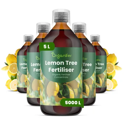 Produktbild von Zitronenbaum Flüssigdünger 5x1L – 2-1-8 NPK – Flüssig-Pflanzendünger für Zitronenbäume – Organifer