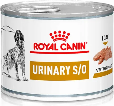 Produktbild von Royal Canin Urinary S/O 12x200 g | Nassfutter für Hunde | Harntrakt | Struvitsteine