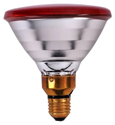 Productafbeelding van Philips Infrarood warmtelampen PAR 175 Watt