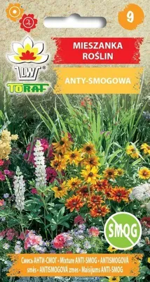 Zdjęcie produktu dla Mieszanka kwiatów i ziół ANTYSMOGOWA Nasiona kwiatów - 577 Toraf