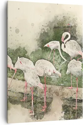 Produktbild von Bild auf Leinwand - Leinwandbild - Einteilig - Flamingo Vogel Wasser - 70x100cm - Wand Bild - Wanddeko - Wandbilder - Leinwanddruck - Wanddekoration - Leinwand bilder - Wandbild - PA70x100-3462