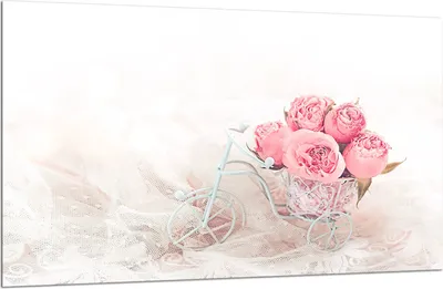 Produktbild von Herdabdeckplatte Glaskeramikkochfeld-Abdeckung Spritzschutz Glas 80x52 Rosen
