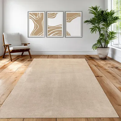 Immagine prodotto di Tappeto beige morbido e accogliente, stile senza tempo, facile da pulire e moderno - 200 x 280 cm