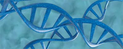 Produktbild von Wallario Poster - DNA-Strang in blau auf türkisem Hintergrund, Kunstdruck Größe: 50 x 125 cm